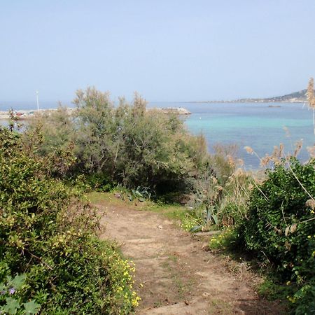 Hostellerie L'Empereur Algajola  Bagian luar foto